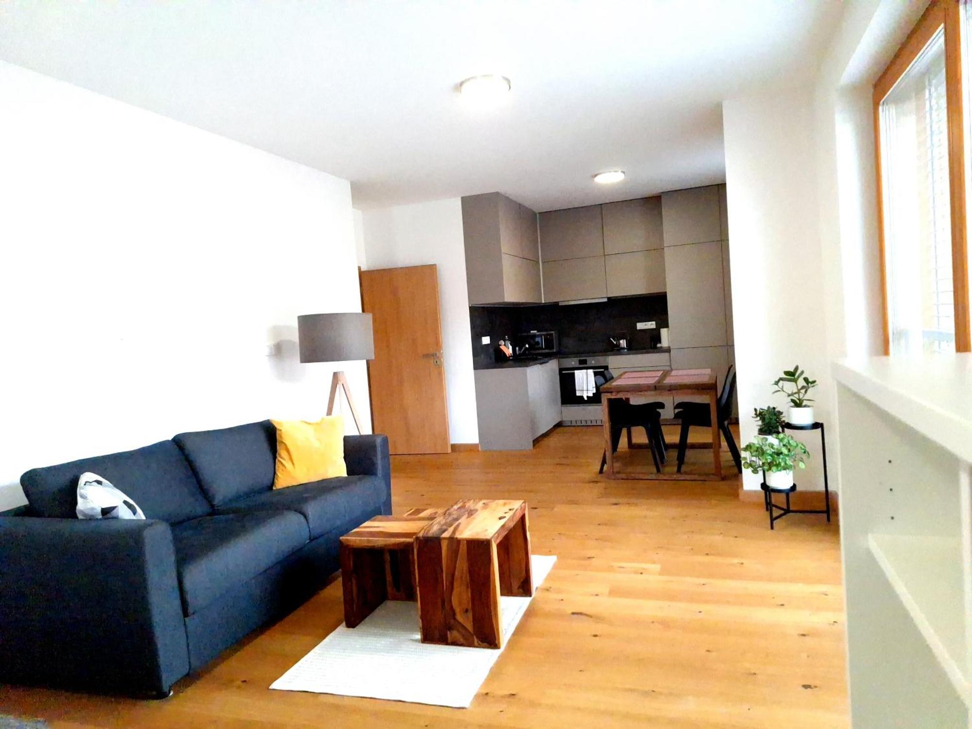 Studio Apartman 22, Rezidence Javor Zelezna Ruda Exterior photo